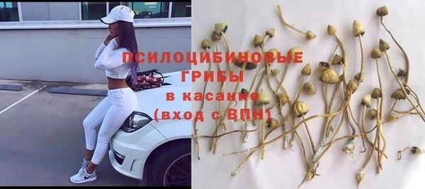 соль ск Надым