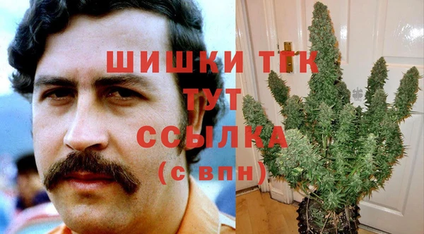 трава Елабуга