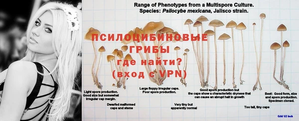 кокаин VHQ Михайлов